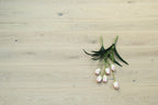 Brushed White UV Oiled Oak 5G Click Engineered Flooring SEO1420C