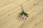 Brushed Invisible Oiled Oak Engineered Hardwood Flooring SEO1503C