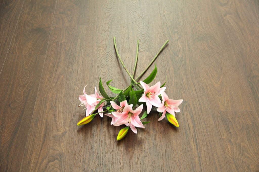 Discontinued Clearance! Walnut Black SPC Vinyl Click Planks Flooring 1220x180x4.0mm SVP2401