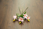 Discontinued Clearance! Walnut Black SPC Vinyl Click Planks Flooring 1220x180x4.0mm SVP2401