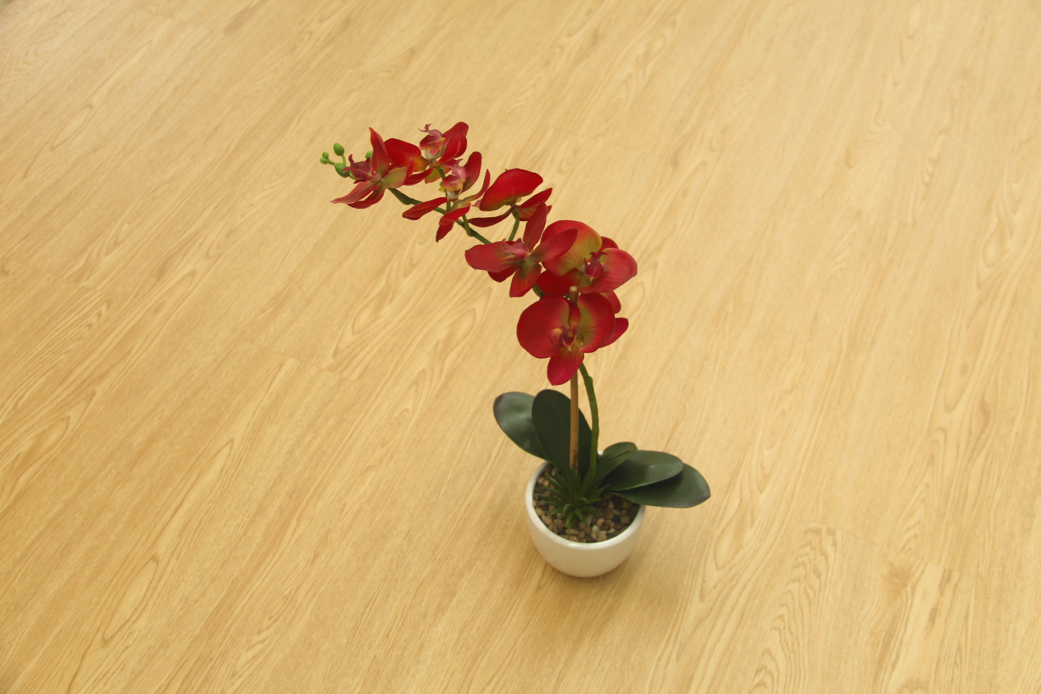 Oak Natural SPC Vinyl Click Planks Flooring 1220x180x5.0mm SVP2405